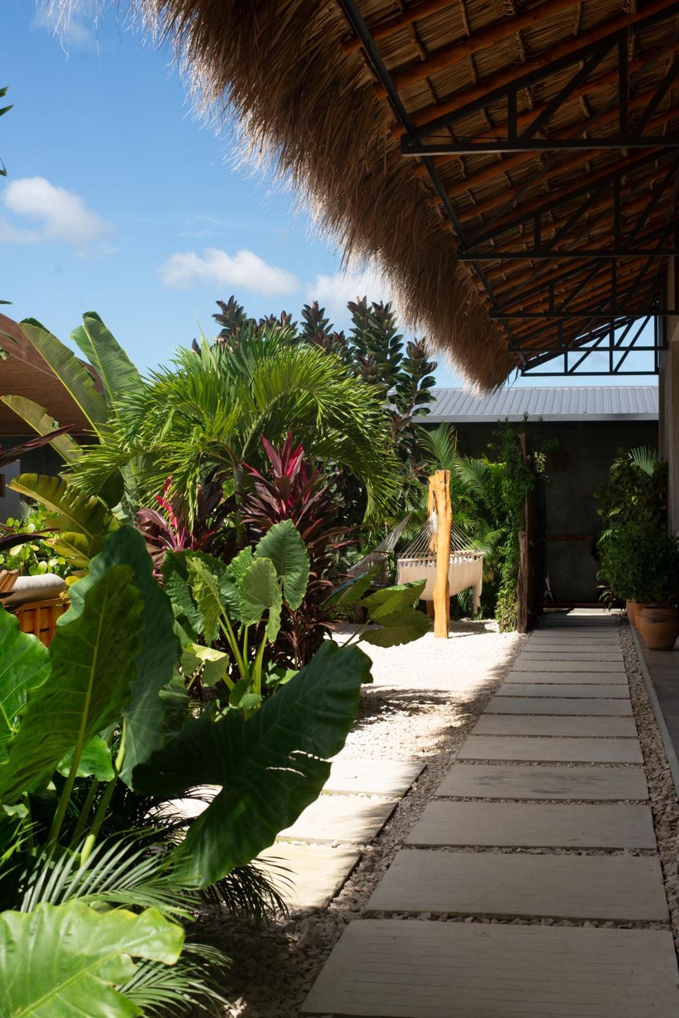 Tukasa - Surfhouse Popoyo Hotell Exteriör bild