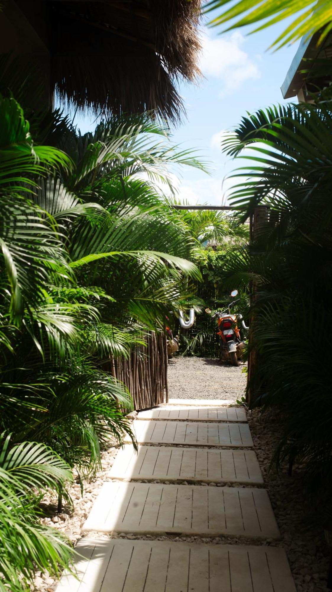 Tukasa - Surfhouse Popoyo Hotell Exteriör bild